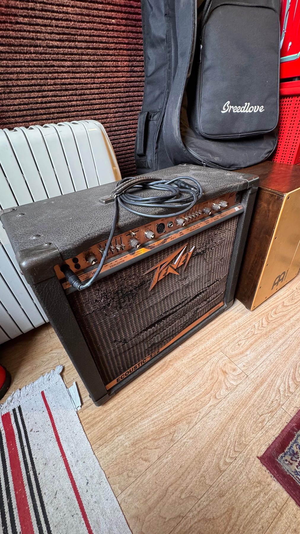 Peavey Ecoustic 112 Amp