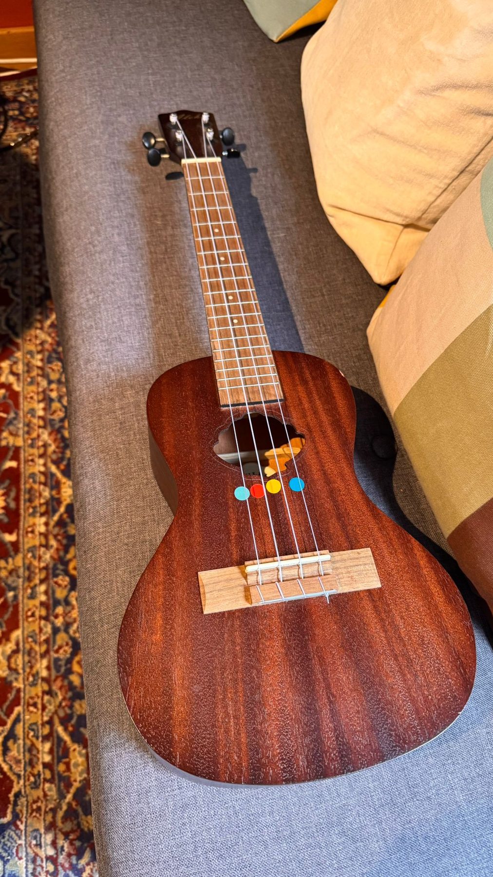 Ukulele